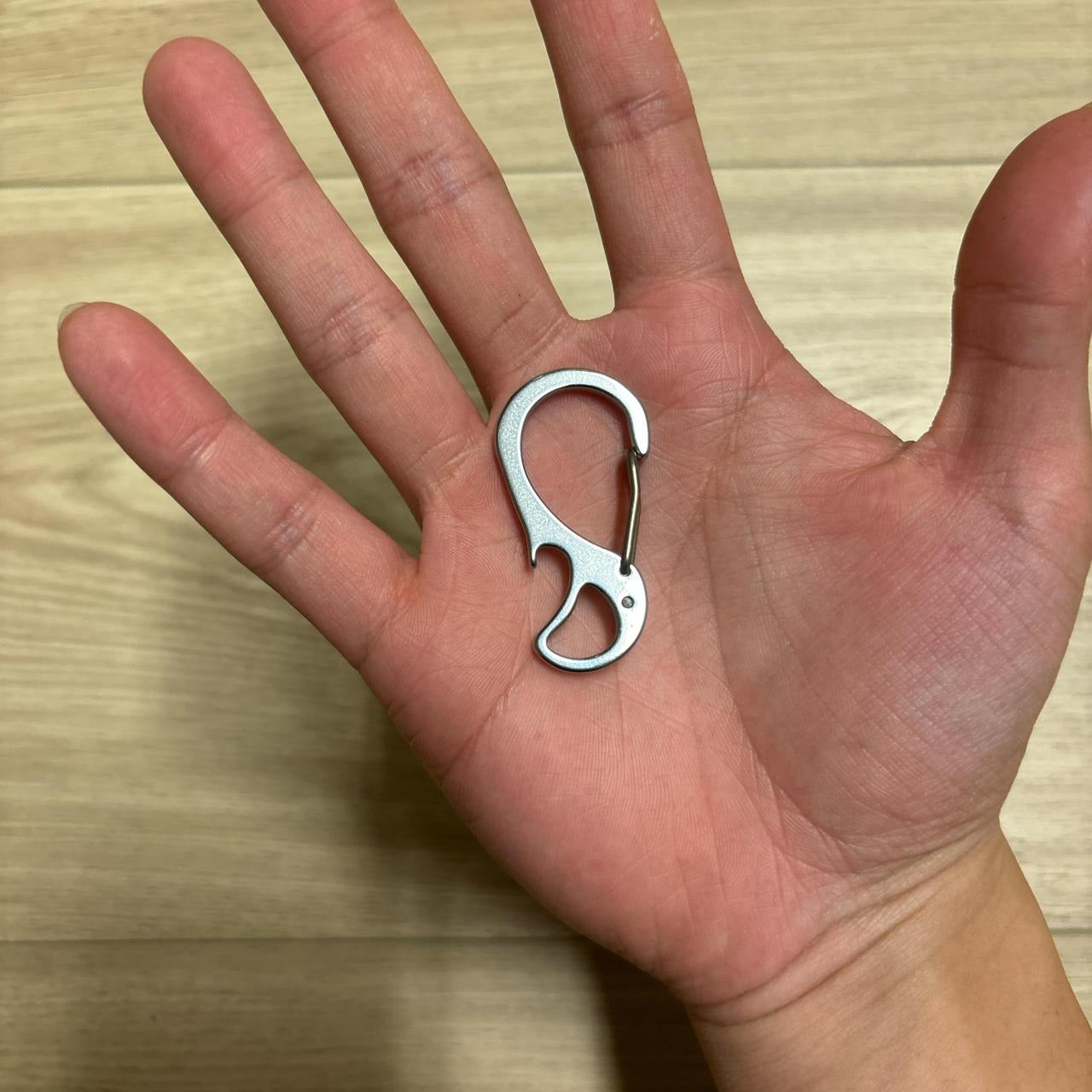 0562 - Abstract Mini Carabiner